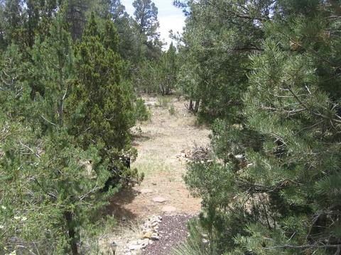 3585 N Broken Arrow, Overgaard, AZ 85933 photo 15