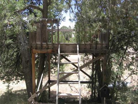 3585 N Broken Arrow, Overgaard, AZ 85933 photo 18