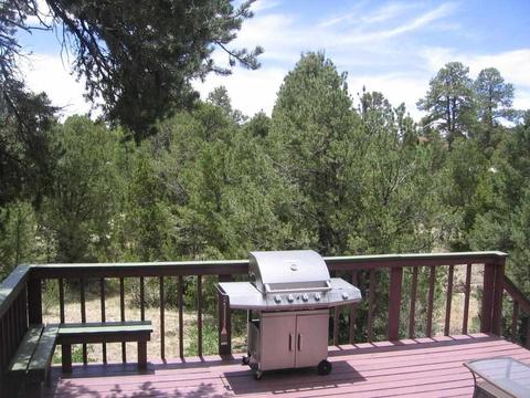 3585 N Broken Arrow, Overgaard, AZ 85933 photo 13