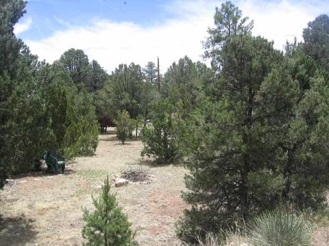 3585 N Broken Arrow, Overgaard, AZ 85933 photo 5