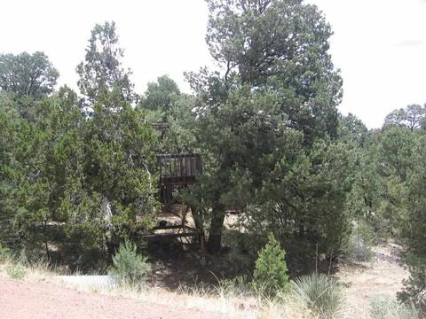 3585 N Broken Arrow, Overgaard, AZ 85933 photo 4