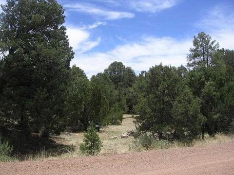 3585 N Broken Arrow, Overgaard, AZ 85933 photo 3