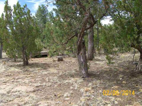 2004 Running Elk, Overgaard, AZ 85933 photo 23