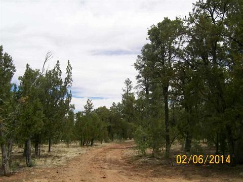 2004 Running Elk, Overgaard, AZ 85933 photo 5