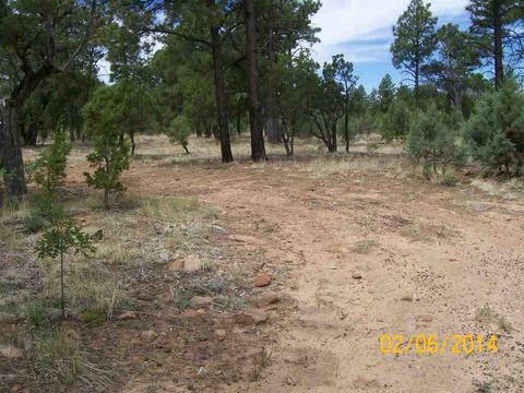 2004 Running Elk, Overgaard, AZ 85933 photo 21