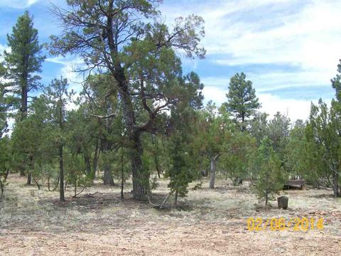 2004 Running Elk, Overgaard, AZ 85933 photo 24