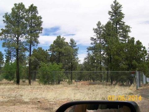 2004 Running Elk, Overgaard, AZ 85933 photo 18