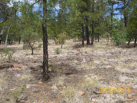 2004 Running Elk, Overgaard, AZ 85933 photo 10