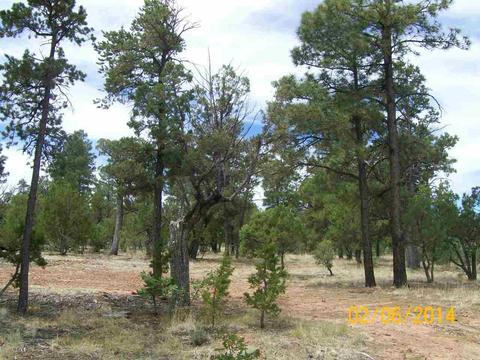 2004 Running Elk, Overgaard, AZ 85933 photo 20