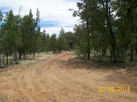 2004 Running Elk, Overgaard, AZ 85933 photo 4