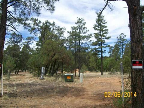 2004 Running Elk, Overgaard, AZ 85933 photo 2