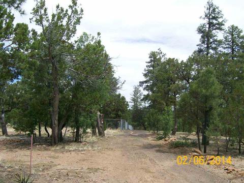 2004 Running Elk, Overgaard, AZ 85933 photo 14