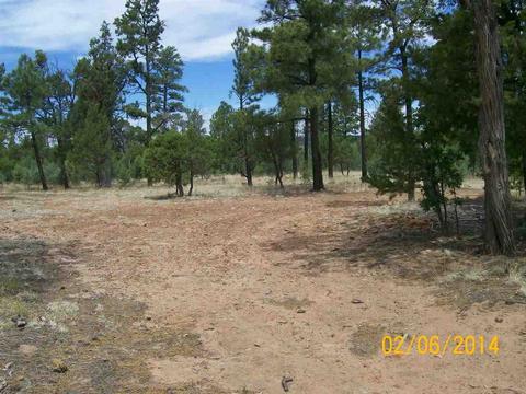 2004 Running Elk, Overgaard, AZ 85933 photo 17