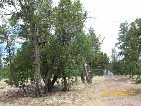 2004 Running Elk, Overgaard, AZ 85933 photo 16