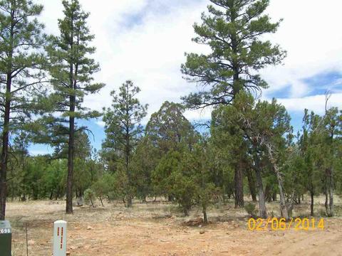 2004 Running Elk, Overgaard, AZ 85933 photo 3