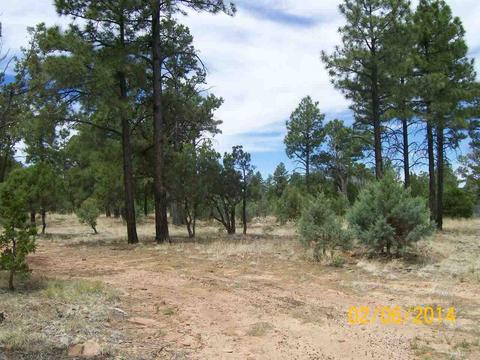 2004 Running Elk, Overgaard, AZ 85933 photo 19