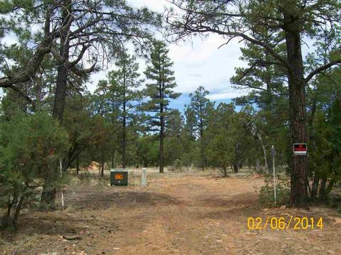 2004 Running Elk, Overgaard, AZ 85933 photo 1