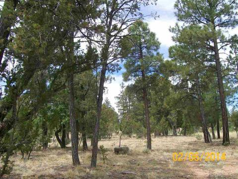 2004 Running Elk, Overgaard, AZ 85933 photo 22