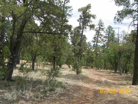 2004 Running Elk, Overgaard, AZ 85933 photo 11