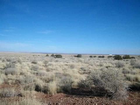 5569 Sondy, Snowflake, AZ 85937 photo 2