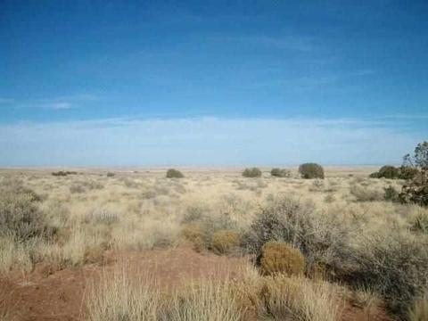 5569 Sondy, Snowflake, AZ 85937 photo 4