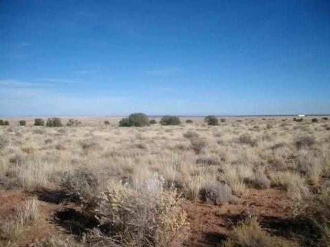 5569 Sondy, Snowflake, AZ 85937 photo 3