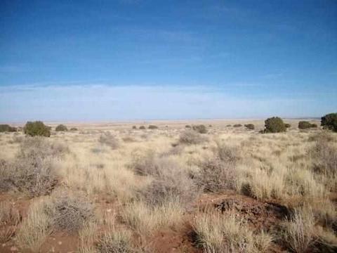5569 Sondy, Snowflake, AZ 85937 photo 5