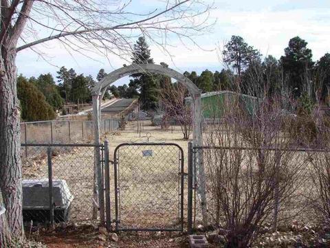 80 Timber Ridge Loop, Show Low, AZ 85901 photo 29