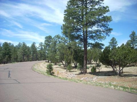 2755 Chandelle, Overgaard, AZ 85933 photo 18