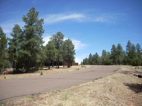 2755 Chandelle, Overgaard, AZ 85933 photo 16