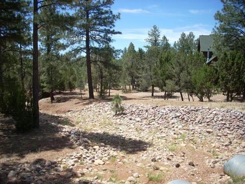 2755 Chandelle, Overgaard, AZ 85933 photo 7