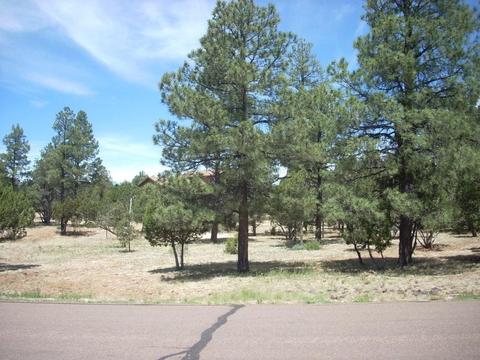 2755 Chandelle, Overgaard, AZ 85933 photo 17