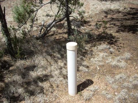 2755 Chandelle, Overgaard, AZ 85933 photo 11