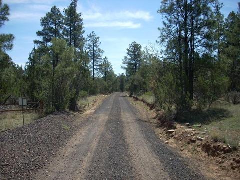3217 Jeep Trl, Overgaard, AZ 85933 photo 14