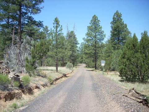 3217 Jeep Trl, Overgaard, AZ 85933 photo 2