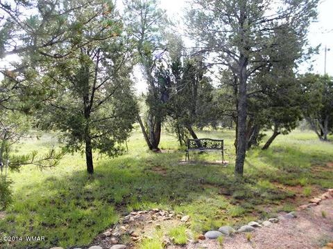 3007 Aspen Rd, Overgaard, AZ 85933 photo 8