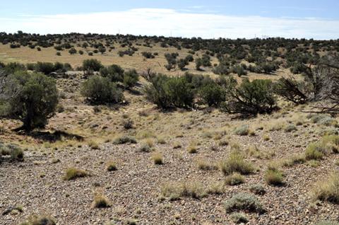 9708 E Juniper Berry Trl, Snowflake, AZ 85937 photo 9