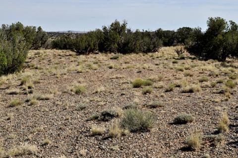 9708 E Juniper Berry Trl, Snowflake, AZ 85937 photo 11