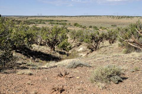 9708 E Juniper Berry Trl, Snowflake, AZ 85937 photo 7