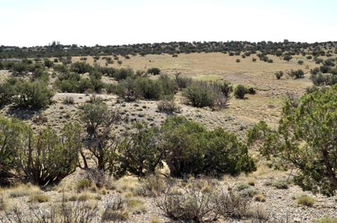 9708 E Juniper Berry Trl, Snowflake, AZ 85937 photo 2
