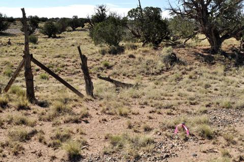 9708 E Juniper Berry Trl, Snowflake, AZ 85937 photo 3