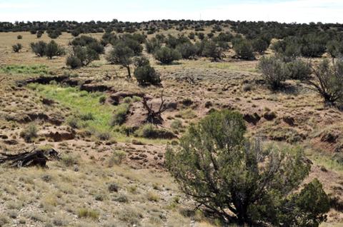 9708 E Juniper Berry Trl, Snowflake, AZ 85937 photo 12