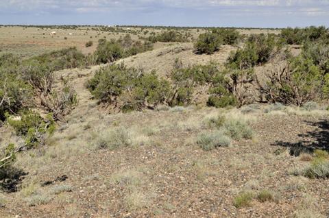 9708 E Juniper Berry Trl, Snowflake, AZ 85937 photo 8