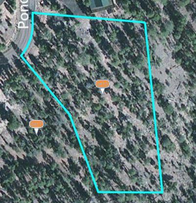 3413 Ponderosa Loop, Heber, AZ 85928 photo 7
