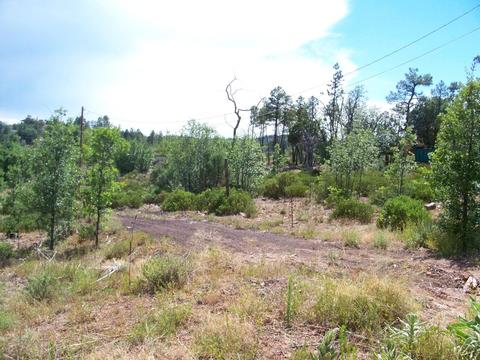 6271 Apache Trl, Show Low, AZ 85901 photo 7