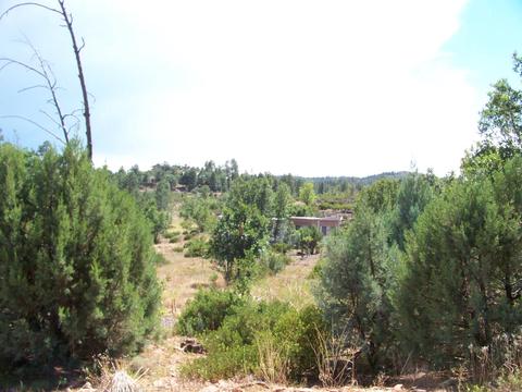 6271 Apache Trl, Show Low, AZ 85901 photo 5
