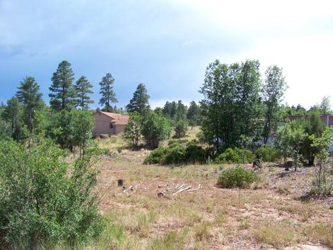 6271 Apache Trl, Show Low, AZ 85901 photo 3