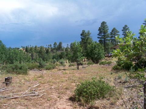 6271 Apache Trl, Show Low, AZ 85901 photo 2