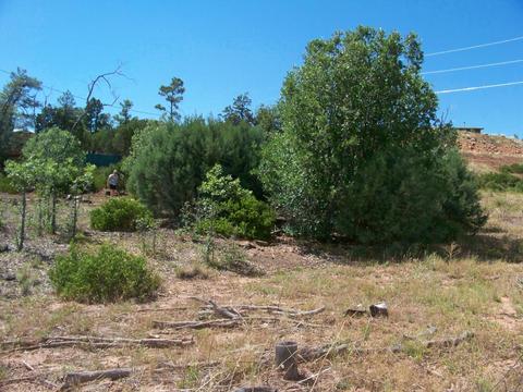 6271 Apache Trl, Show Low, AZ 85901 photo 4