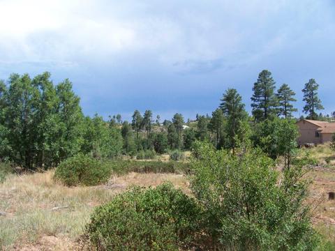6271 Apache Trl, Show Low, AZ 85901 photo 1